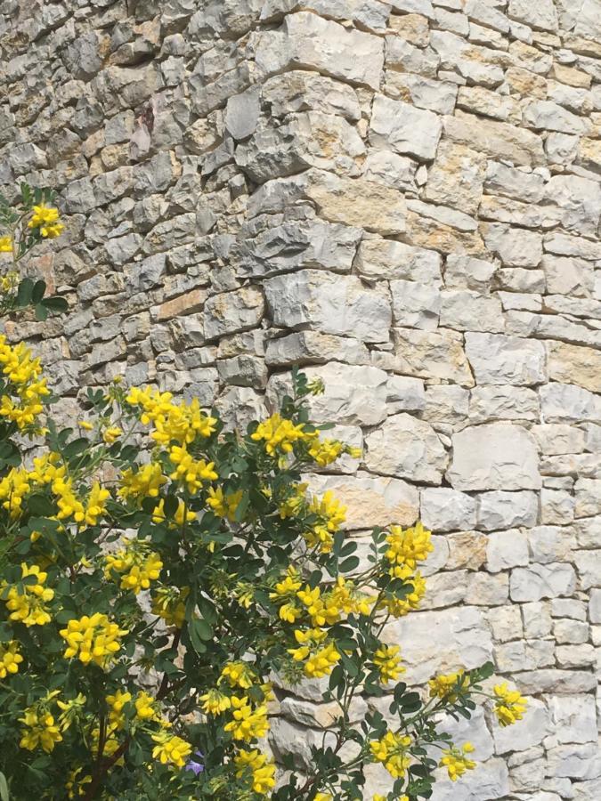 La Chambre Haute Et Son Spa Nîmes Dış mekan fotoğraf